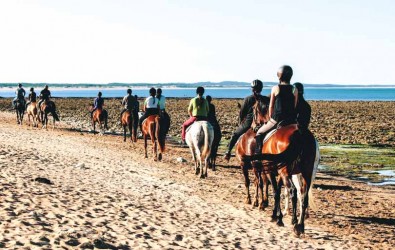 île en France Oleron